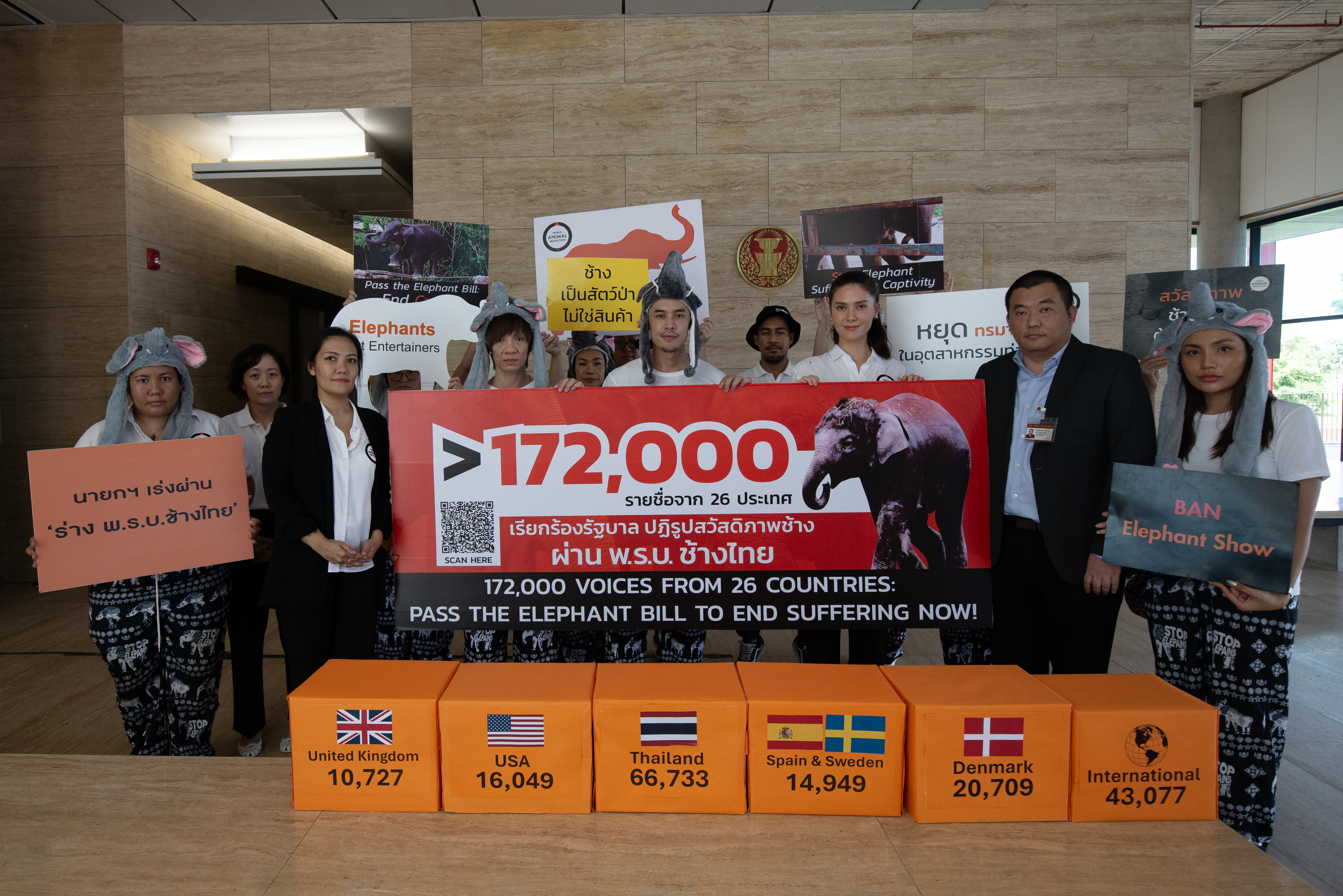 Vi har indsamlet over 172.000 underskrifter mod avl på elefanter i fangenskab i Thailand
